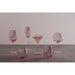 Rose Frosted Hi-Ball Glasses 