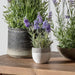 Faux lavender plant in ceramic pot